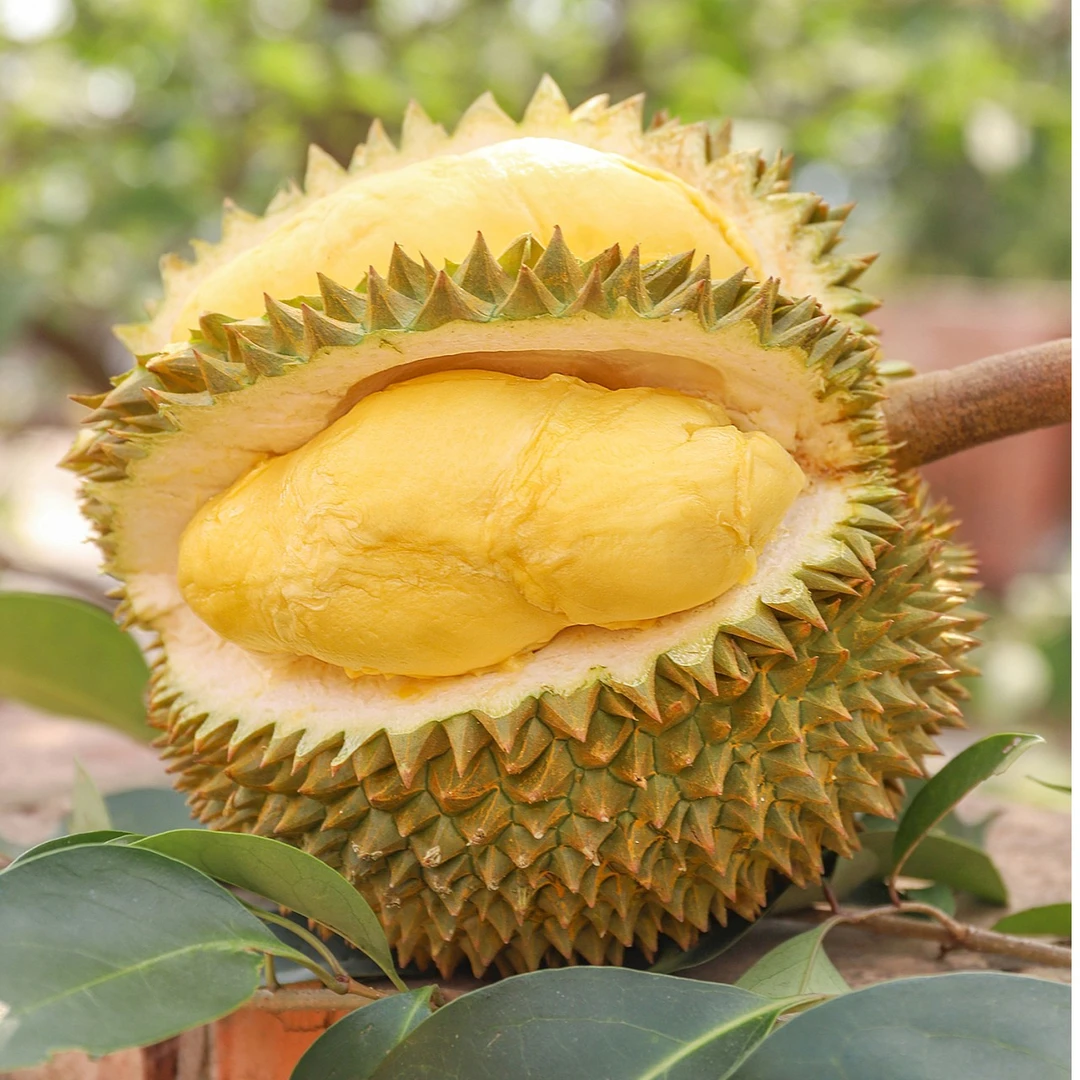 ④【A级泰国金枕】一果一拍鲜榴莲榴莲同城送