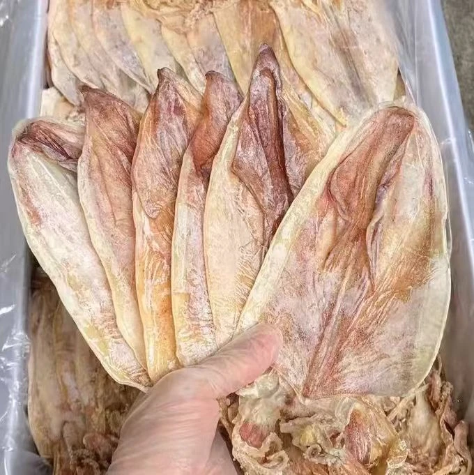 A3 KTV烧烤中大号A2鱿鱼干淡晒海水产干货北海手撕尤鱿