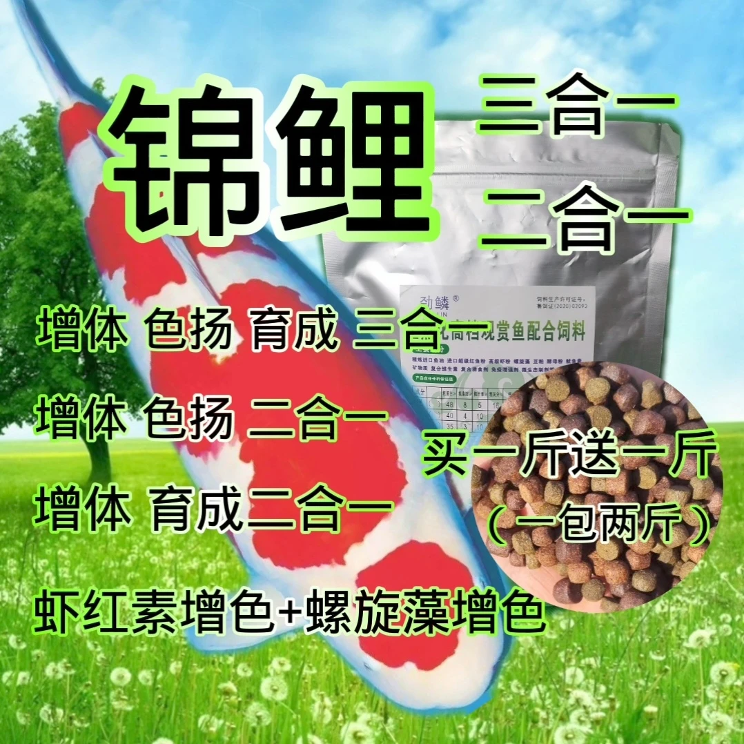 锦鲤三合一鱼粮（买一斤送一斤）