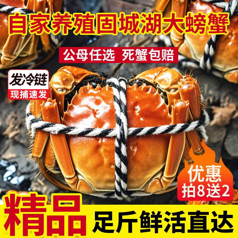 精品自产自销现货固城湖大螃蟹3两母4只+4两公4只