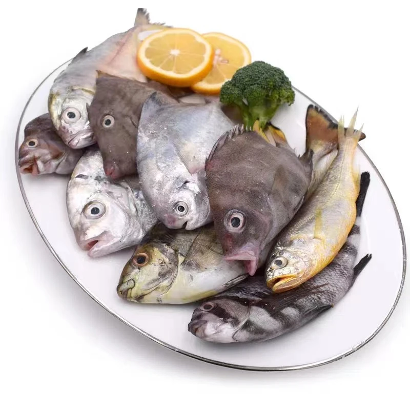 直播间指定鱼（海鲜）套餐1500g起拍（真空包装）