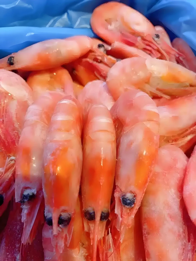 北极甜虾头籽90/120规格3斤（少量有海藻头）