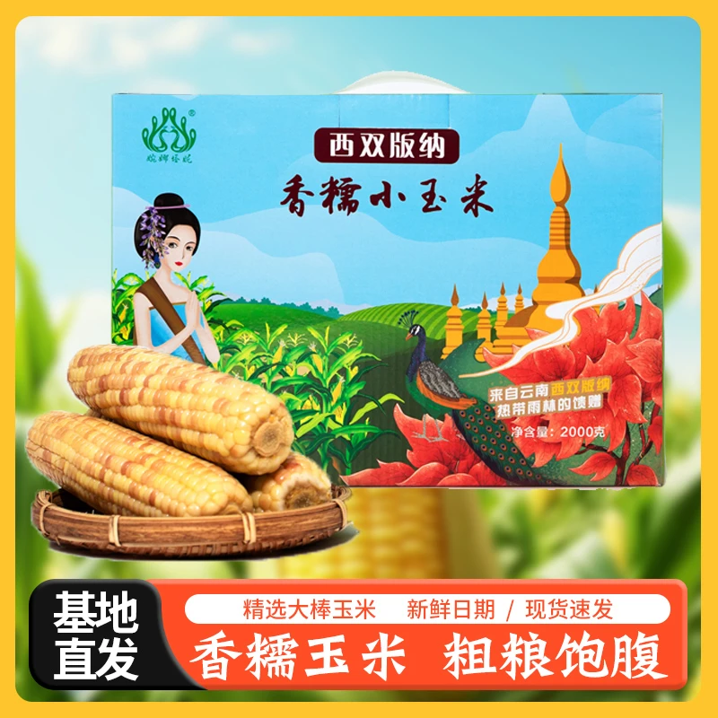 西双版纳精选现摘花糯玉米加热真空加热食用方便香糯即食【礼盒】
