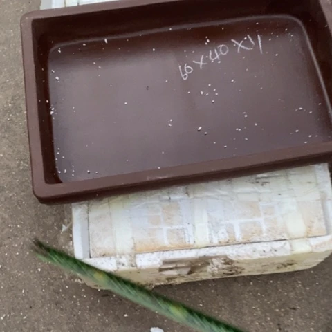 紫砂花盆大**定厂家直销