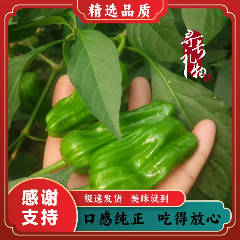 长阳高山芜湖椒2.5-3斤装