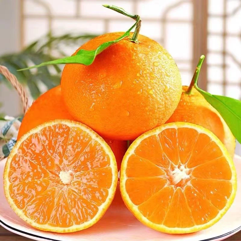 正宗四川爱媛38果冻橙香甜多汁新鲜水果现采现发手剥橙爆汁水果