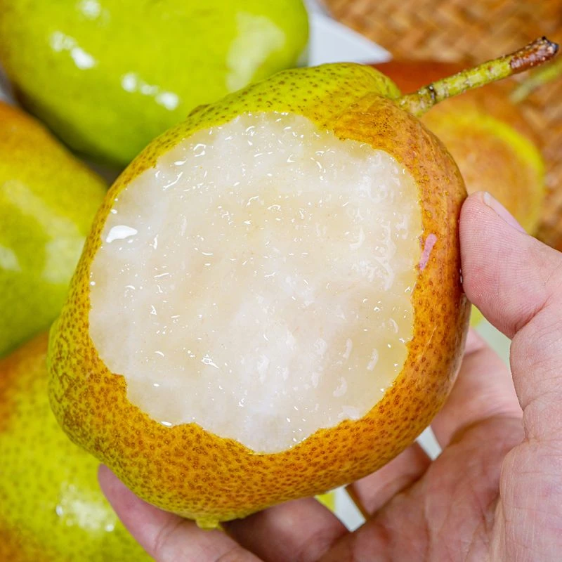 【爆甜】红香酥梨水果新鲜5/9斤当季香梨脆甜多汁薄皮梨子坏果包赔