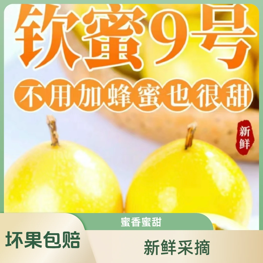 【精品果】广西钦蜜9号黄金百香果蜜甜多汁 皮薄肉厚香甜饱满 现摘