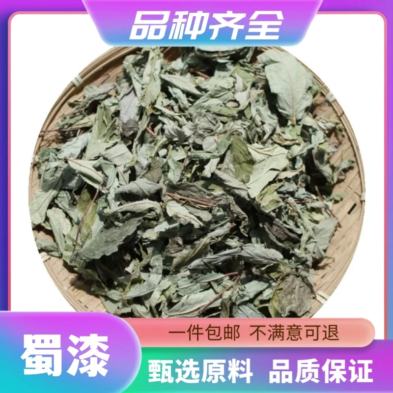 蜀漆 新货干货蜀漆叶 鸡屎草鸭屎草常山叶散装常山叶120克非茯苓