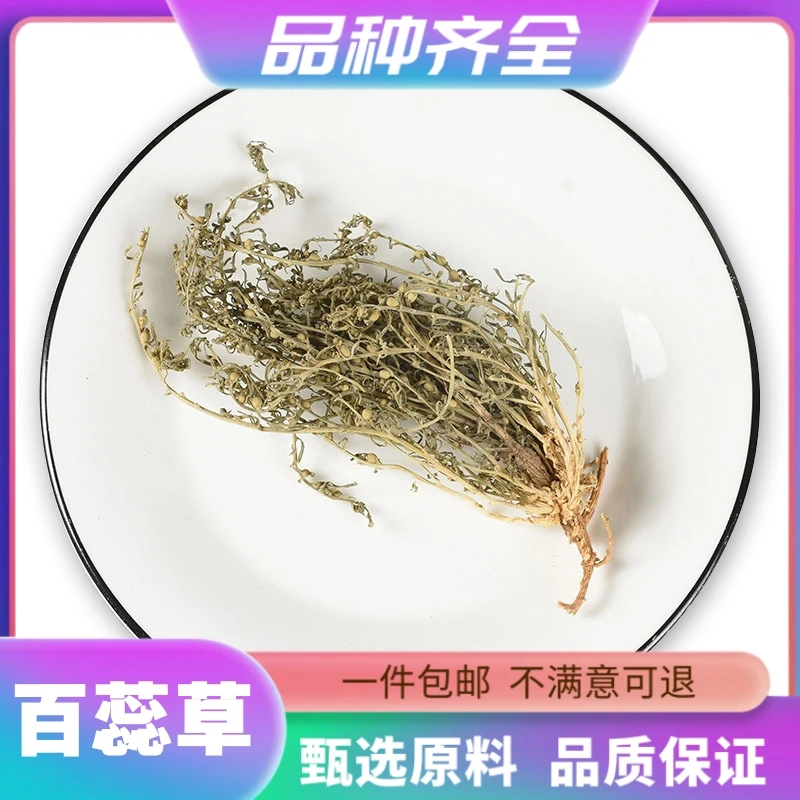 百蕊草百乳草 小草细须草青龙草120克包邮干净新鲜干货无硫非甘草
