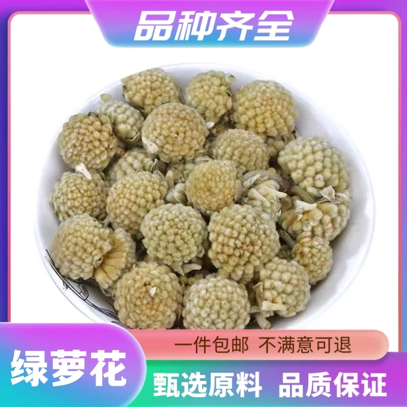 绿萝花正品西藏绿箩新货绿萝雪丽结香花雪中情打结花雪里开非甘草