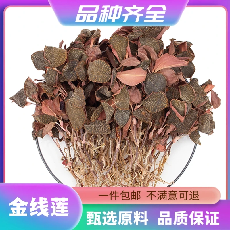 金线莲金线兰金丝线金丝草干货鸟人参金耳环金线虎头蕉无硫非当归