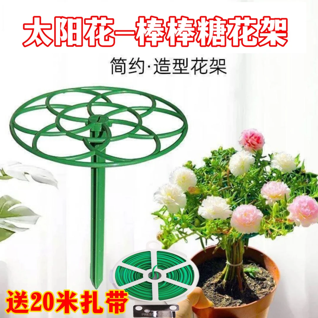 太阳花架子造型棒棒糖支架蟹爪兰铁线莲爬藤架防倒伏多层植物固定