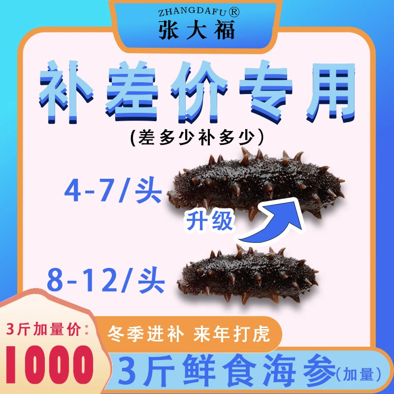 [升级专用请勿单拍] 1000升级4-7头大连辽刺参直播间专用