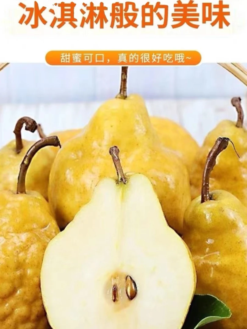 【坏果包赔】新鲜好吃美味山东丑梨  一箱3斤左右