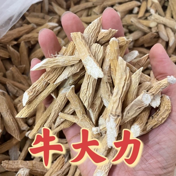 现收牛大力 新货大个原生泡水炖汤搭配枸杞