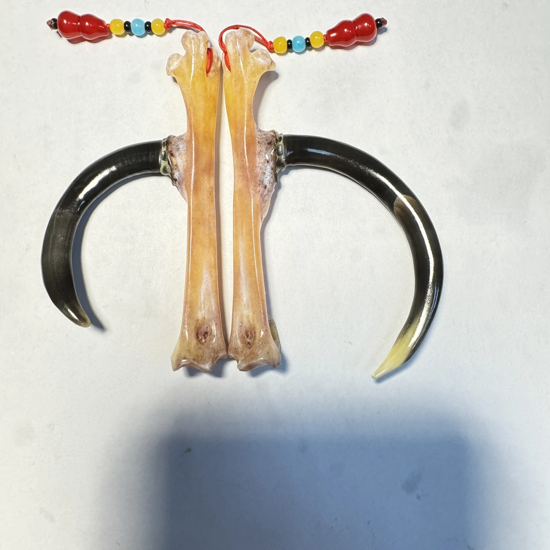 鸡爪骨工艺品，黑色大弯钩鸡爪骨一对