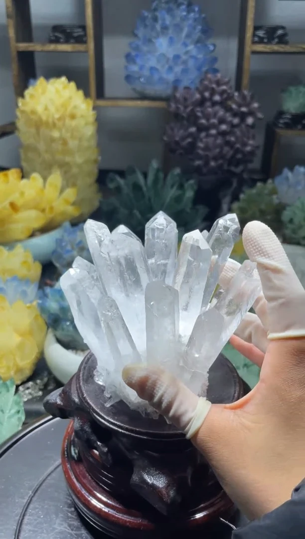 【闪购商品】白花花