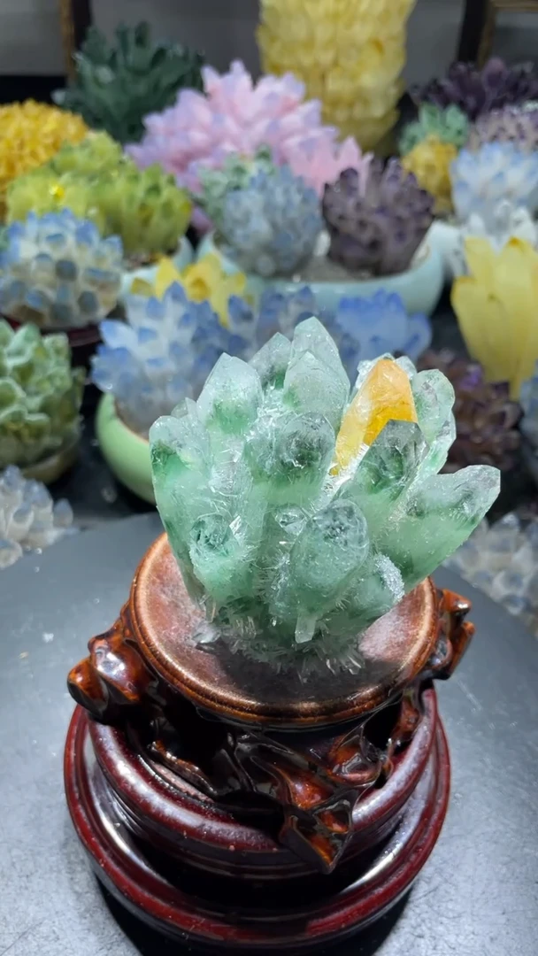 【闪购商品】绿晶花