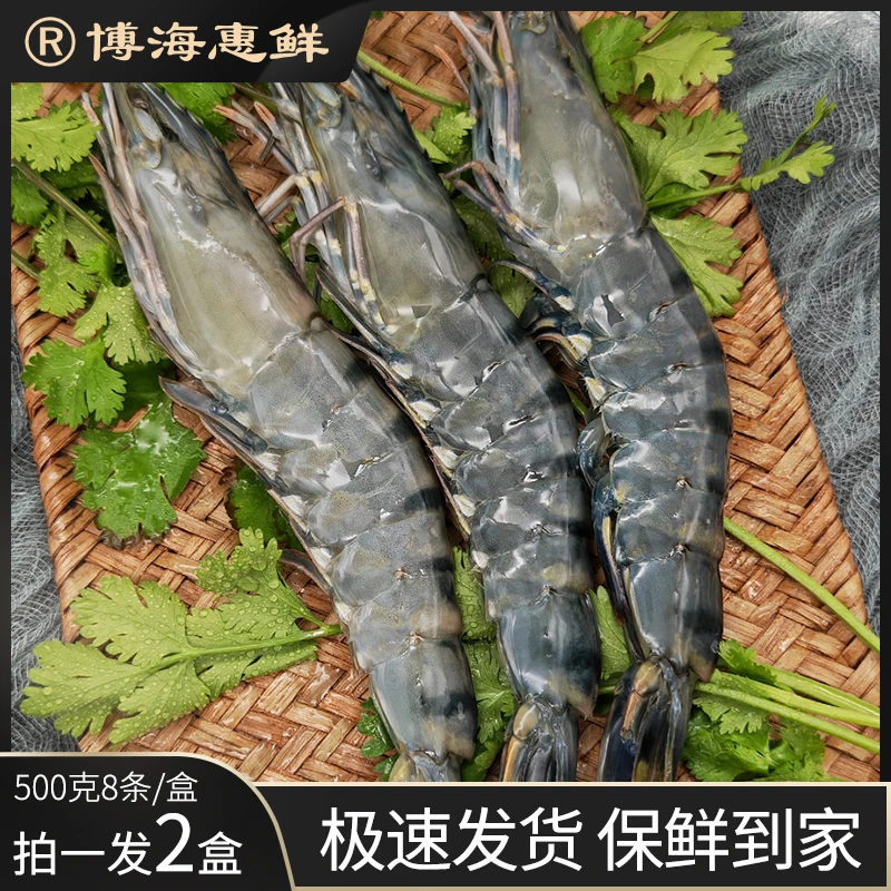 博海惠鲜【拍一发二】泰国活冻黑虎虾高蛋白新鲜海虾500克8条/盒