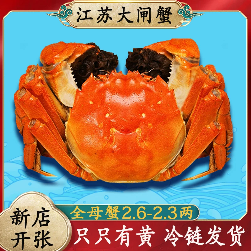全母2.3-2.6两8-10只礼盒装大闸蟹螃蟹鲜活现货死蟹包赔 蟹农直发