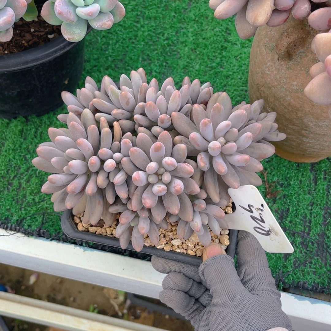 我****人328dhjjjjjnnnnn