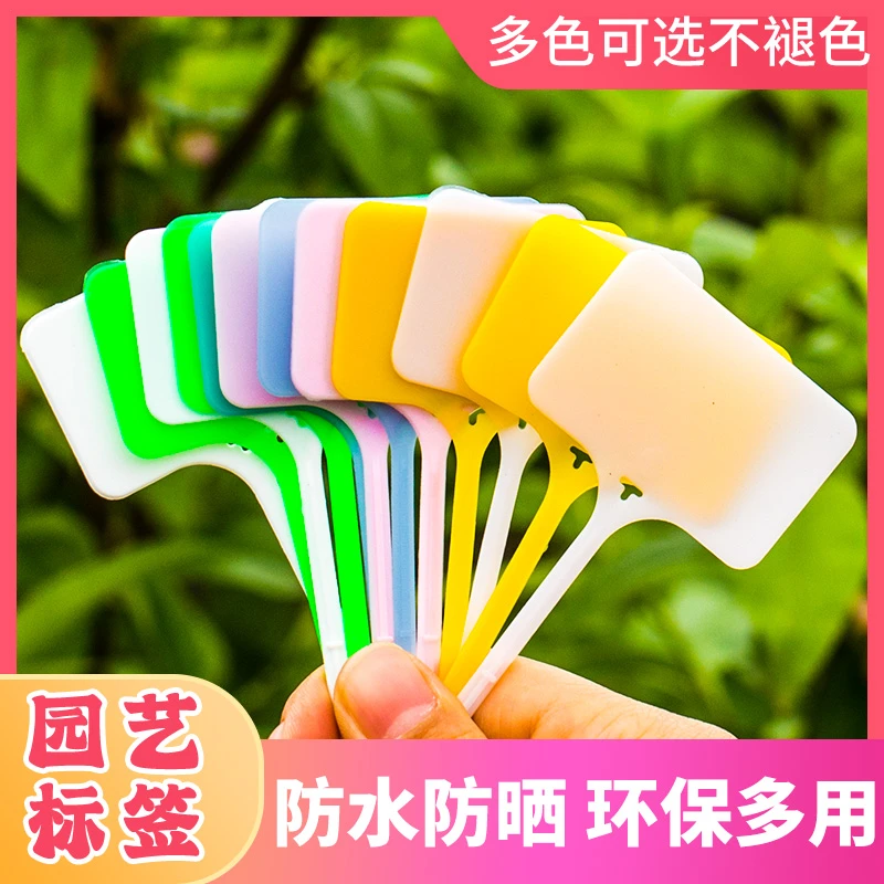 园艺标签T型多肉植物花卉地插牌塑料防水园艺苗木定制花盆标识牌
