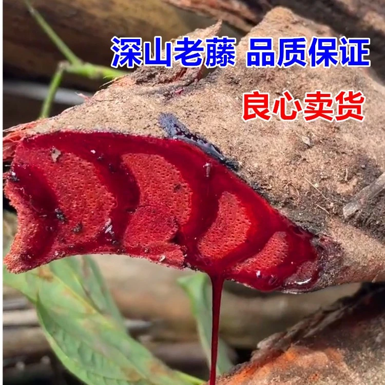 【鸡血藤】小海专属  500克