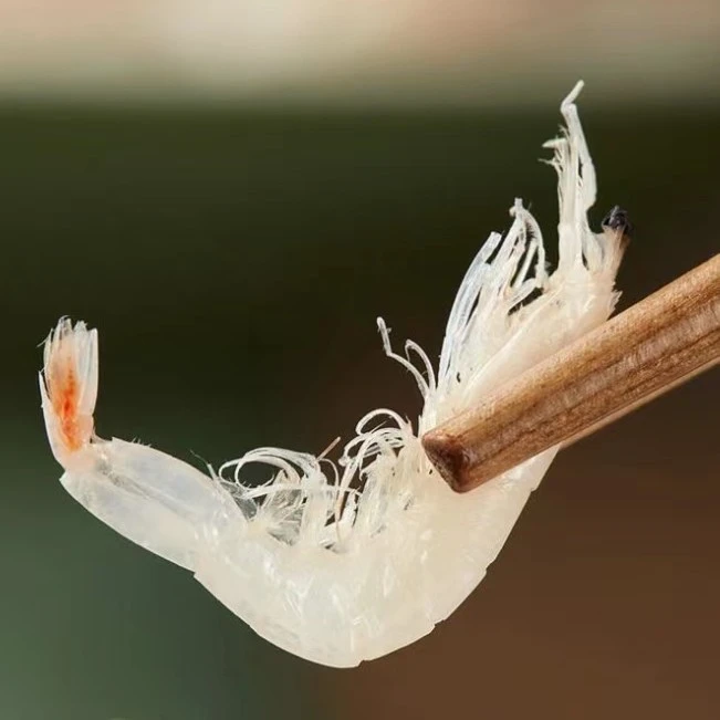 霞浦特产日晒淡干虾皮干净新鲜干虾米干货批发鲜味营养100g1罐