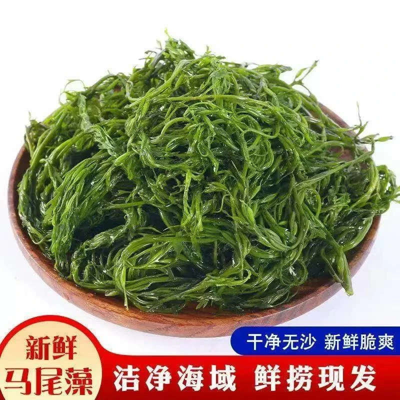 当季新鲜海藻马尾藻盐渍鞭炮笋人工挑选嫩菜火锅凉拌小炒食材250g