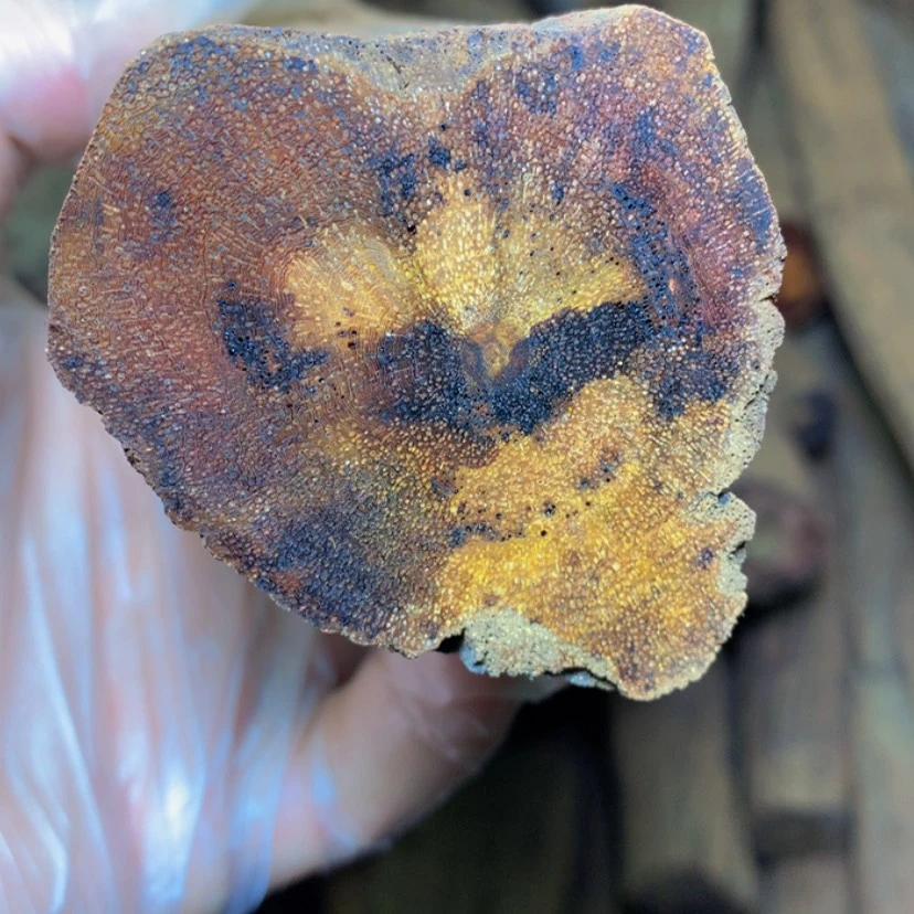 【闪购商品】降真香其他白****道定制