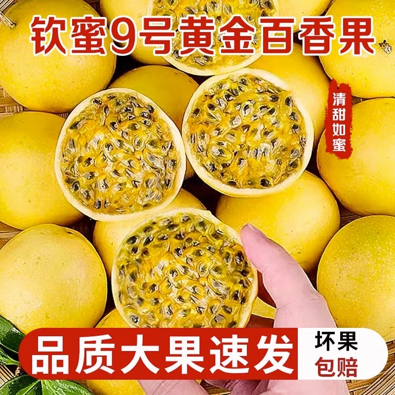 水果钦蜜9号黄金百香果香甜爆汁饱满酸甜正宗当季新鲜水果1-5斤装