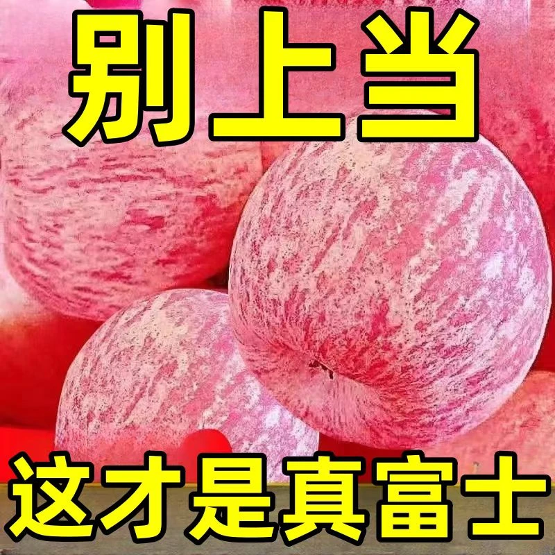 正宗山东烟台栖霞红富士苹果应季水果新鲜甜脆现摘脆甜自然3-9斤