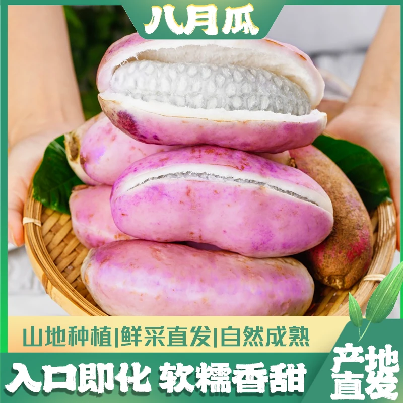湖南郴州临武鲜香八月瓜软糯香甜山地种植鲜采直发自热成熟