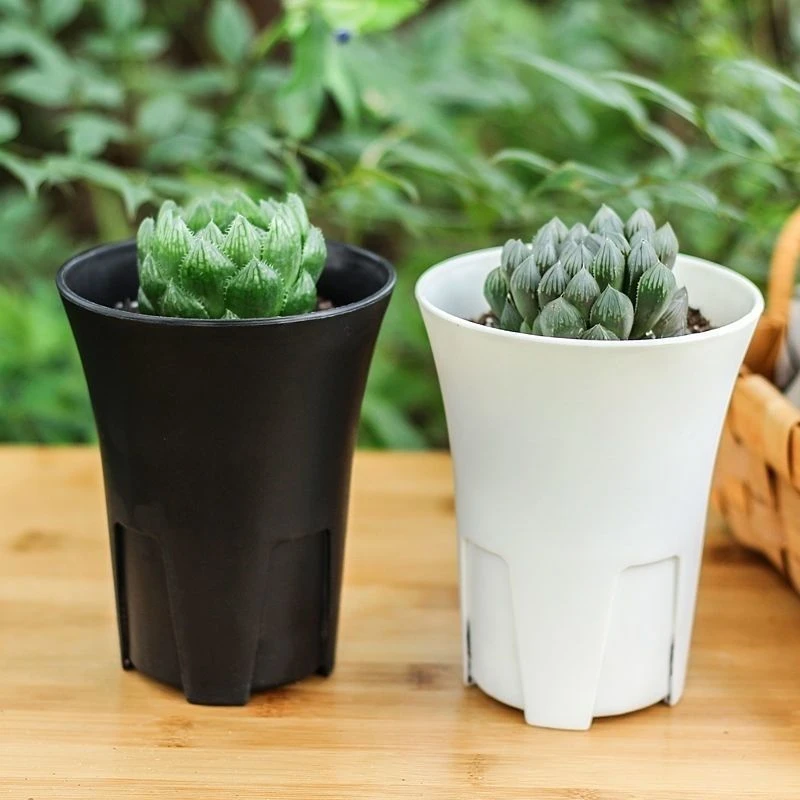 侧开孔控根万象盆圆形加厚磨砂多肉塑料桌面花盆高腰十二卷玉露寿