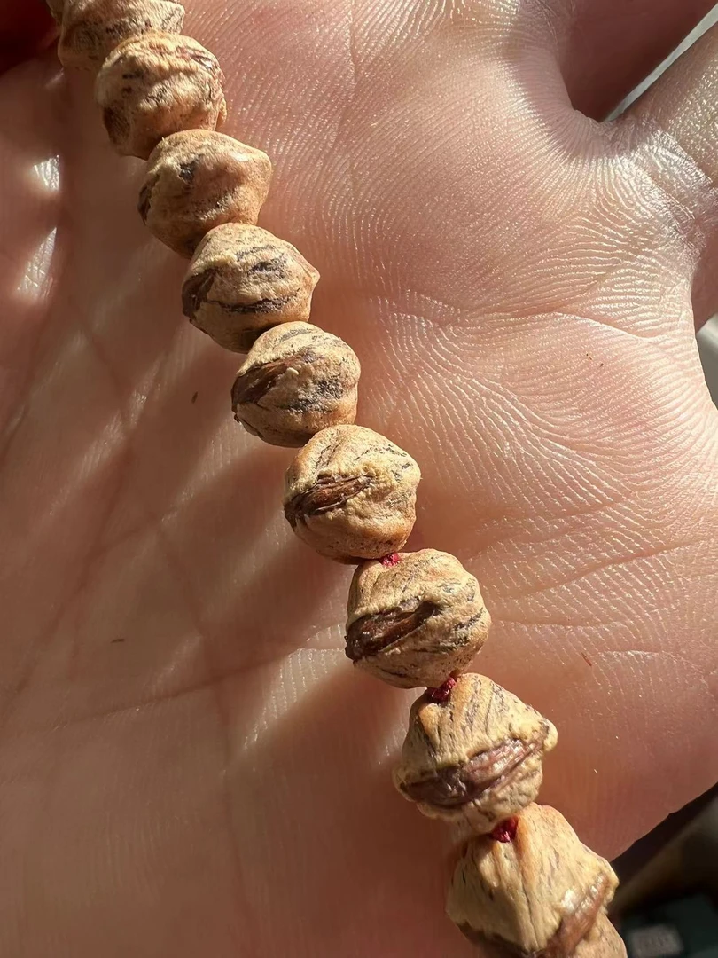 西藏热振寺百香籽《球》，大尺寸8.3-8.5左右，原桩横打一刀未动