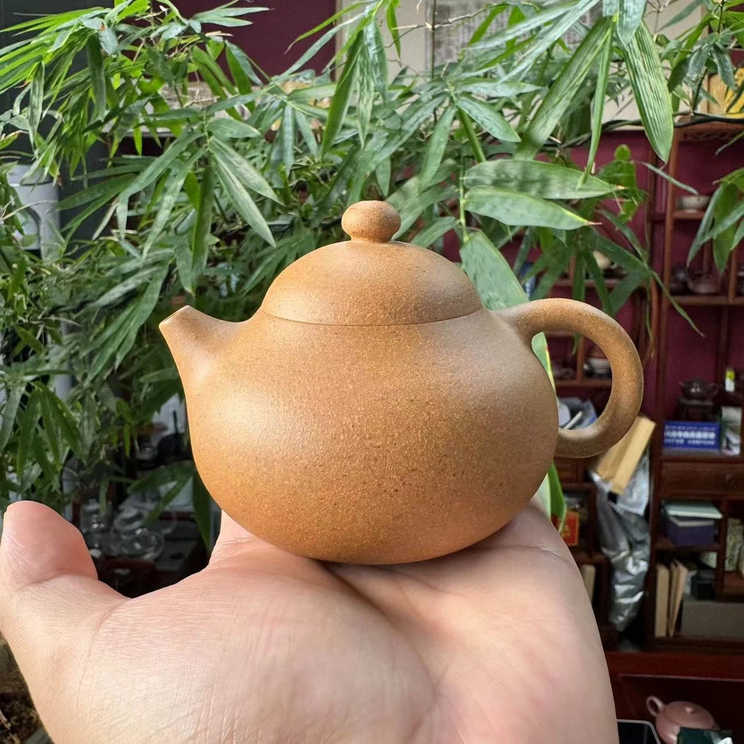 LW黄金段【文旦220CC】宜兴黄龙山原矿手工紫砂壶