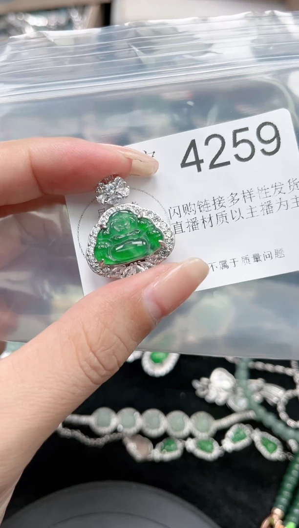 【闪购商品】翡翠颈饰未镶嵌赠皮绳4259
