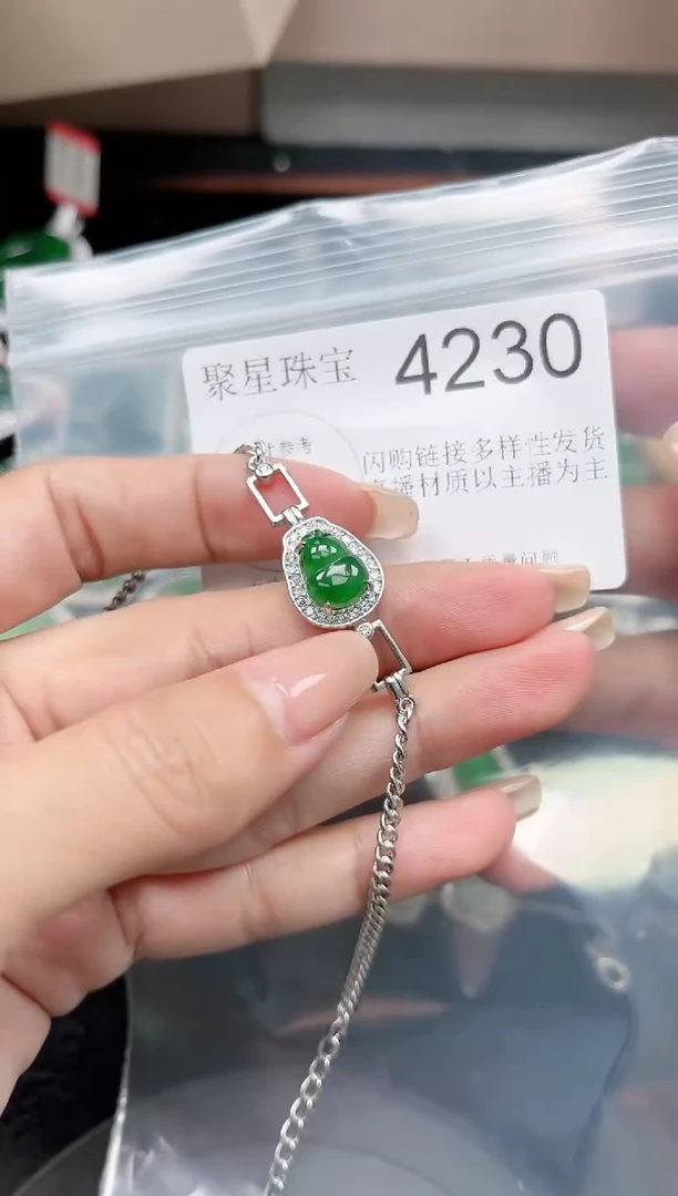 【闪购商品】翡翠颈饰未镶嵌赠皮绳4230