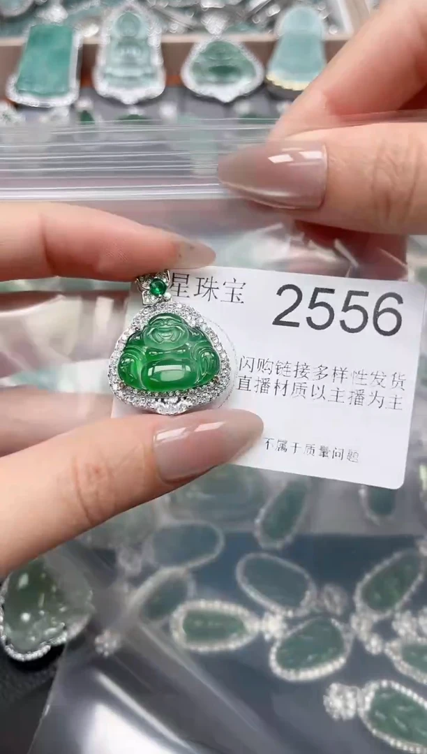 【闪购商品】翡翠颈饰未镶嵌2556(赠皮绳)