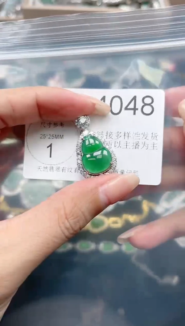 【闪购商品】翡翠颈饰未镶嵌赠皮绳4048