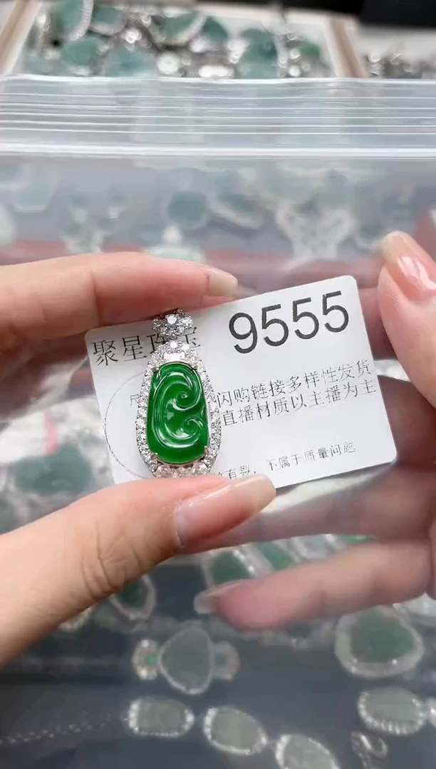 【闪购商品】翡翠颈饰未镶嵌赠皮绳9555