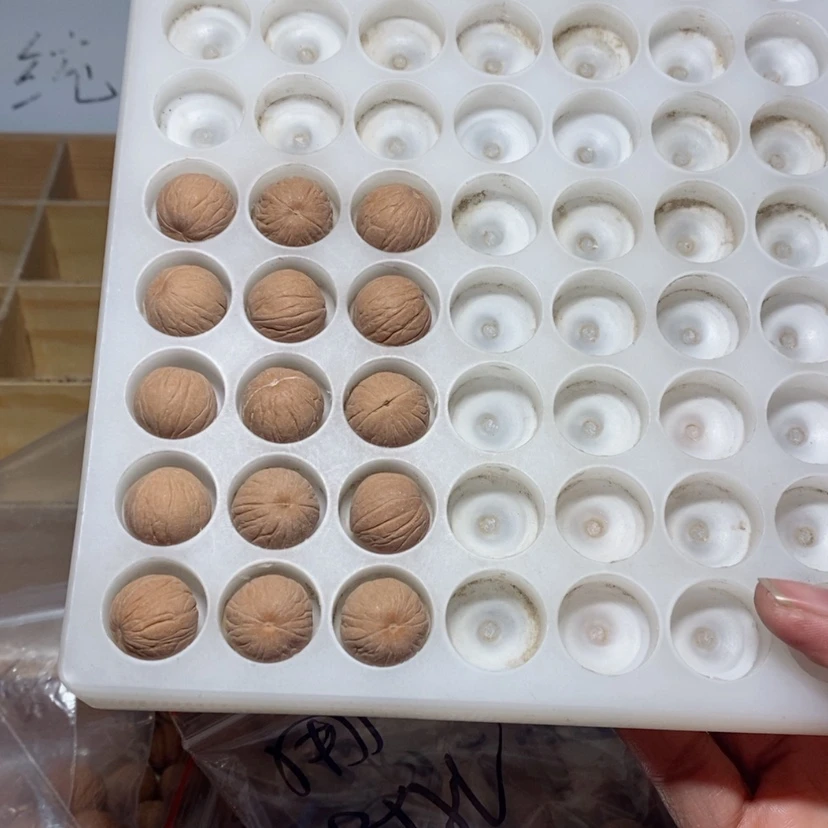 【闪购商品】猴头核桃吊坠千**儿聚宝盆17尺寸15颗打孔