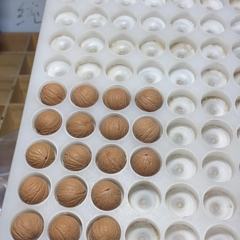 【闪购商品】猴头核桃吊坠浮**影聚宝盆18尺寸18颗打孔