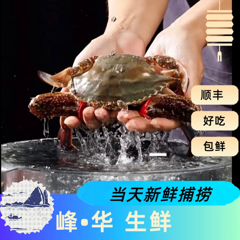 【保鲜不保活】精品东北野生公蟹1斤2只-3只（单只3-5两）个别掉抓