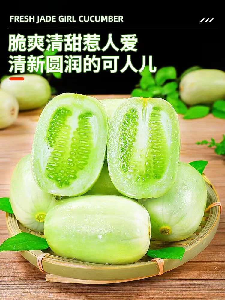 【阿谈专属】山东寿光玉女新鲜好吃拇指黄瓜清脆爽口水果水果千禧