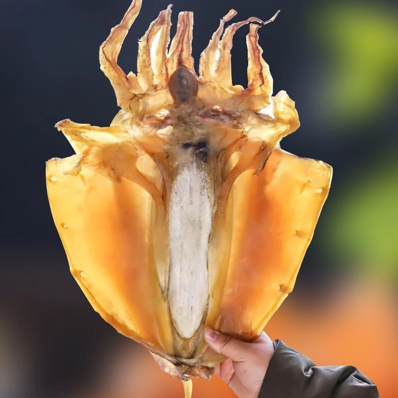 超大墨鱼干煲汤食用营养新鲜大号北海目鱼干海鲜干货