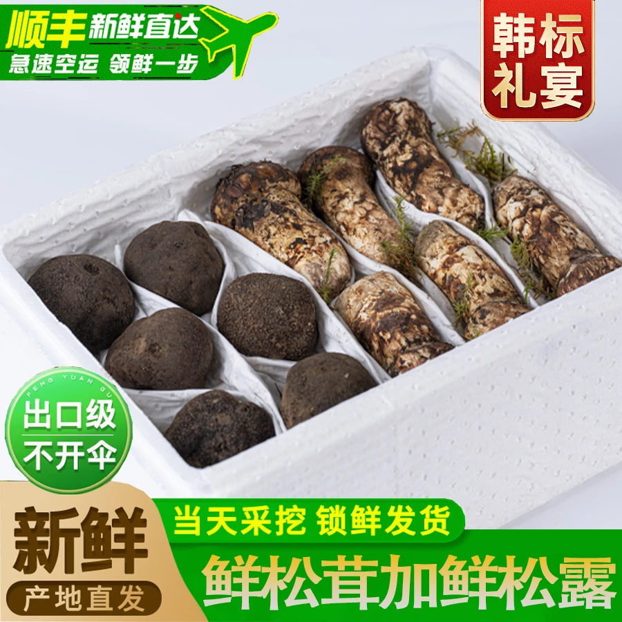 【松茸＋松露】新鲜搭配组合 高端食材刺身原产地直发做刺身送人送礼