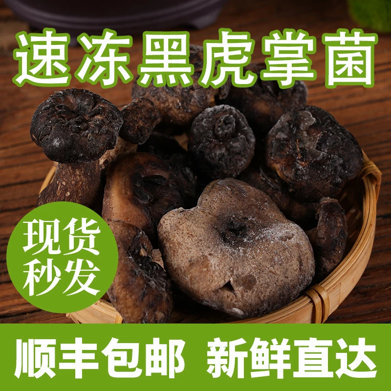 云南特产速冻黑虎掌菌500克 食用鲜嫩产品空运炖汤发货美味健康