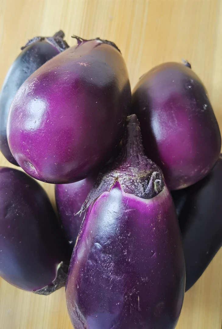 果蔬（现场称重）农户种植新鲜蔬菜